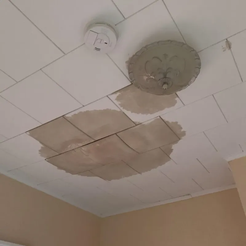Ceiling Water Damage Repair in Brownsville, PA