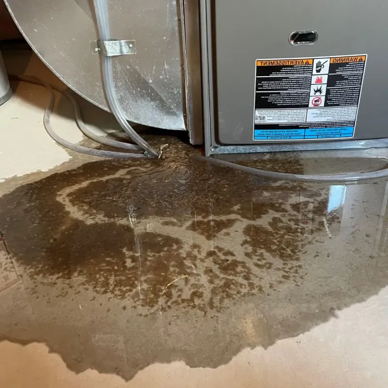 Pipe Burst and Leak Restoration in Brownsville, PA