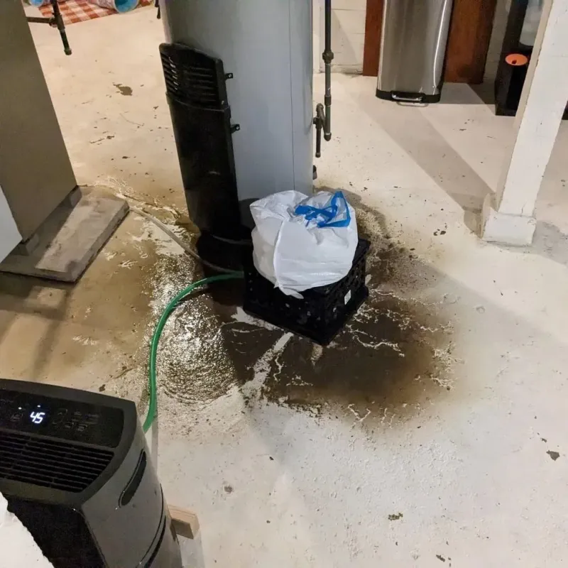 Sewage Backup Cleanup Service in Brownsville, PA